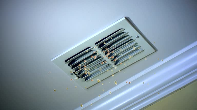 Best Air Vent Cleaning Services  in Mledgevle, IL