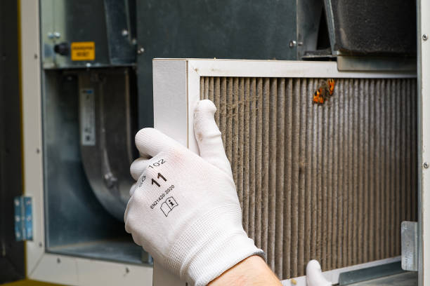 Best Residential Air Duct Cleaning  in Mledgevle, IL