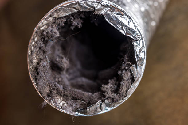 Best Air Duct Mold Removal  in Mledgevle, IL