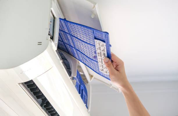 Best Affordable Duct Cleaning Services  in Mledgevle, IL